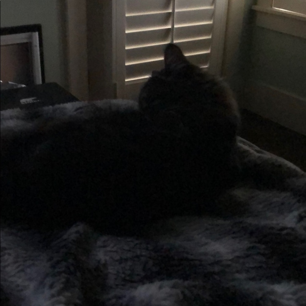 Meet your Posher, Rene